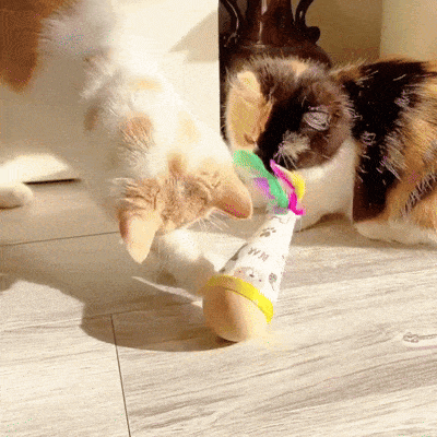 Colorful Wiggle Wooden Wobble Feather Cat Toy Roly Poly