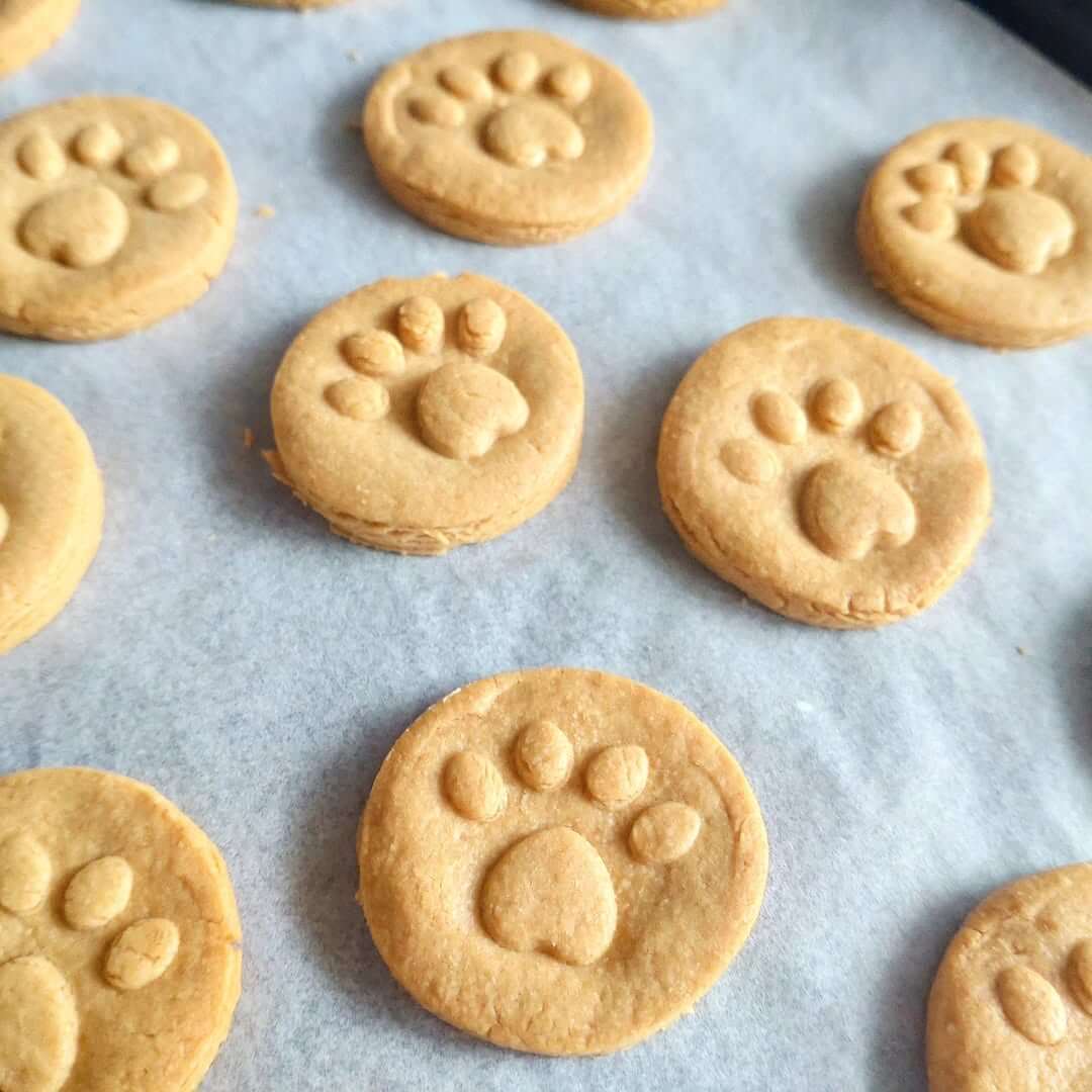 Cat Paw Cookie Stamp Spoon - Petites Paws