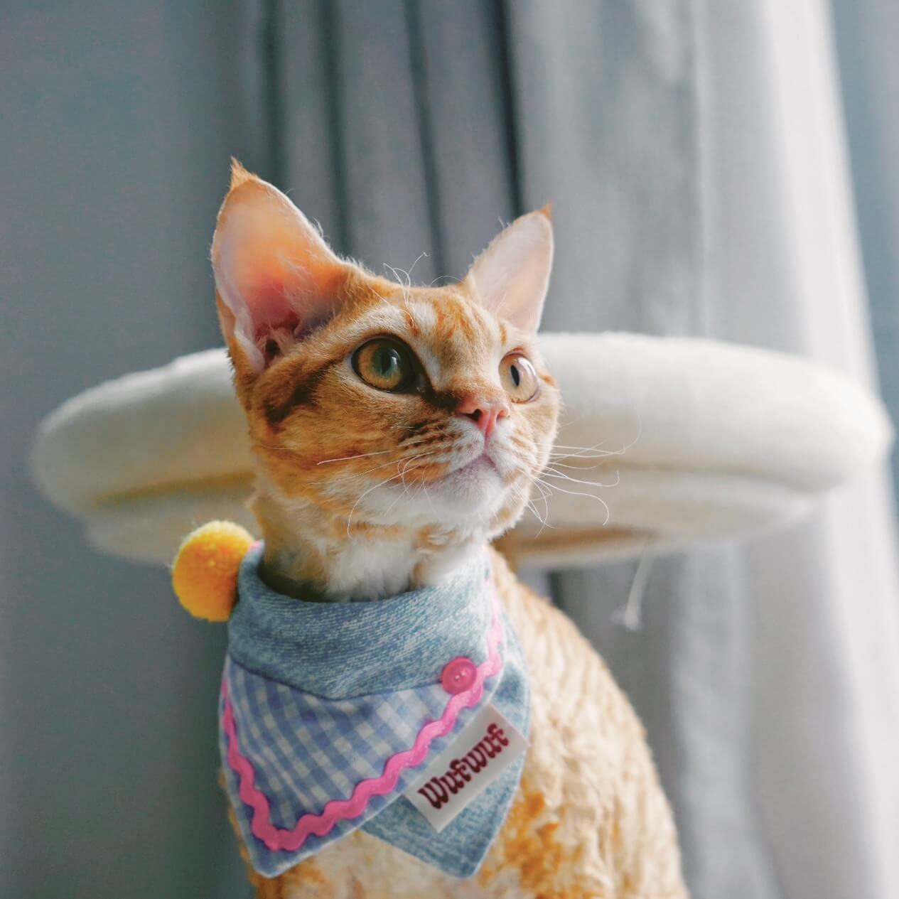 Denim Patchwork Pink Cat Bandana Collar