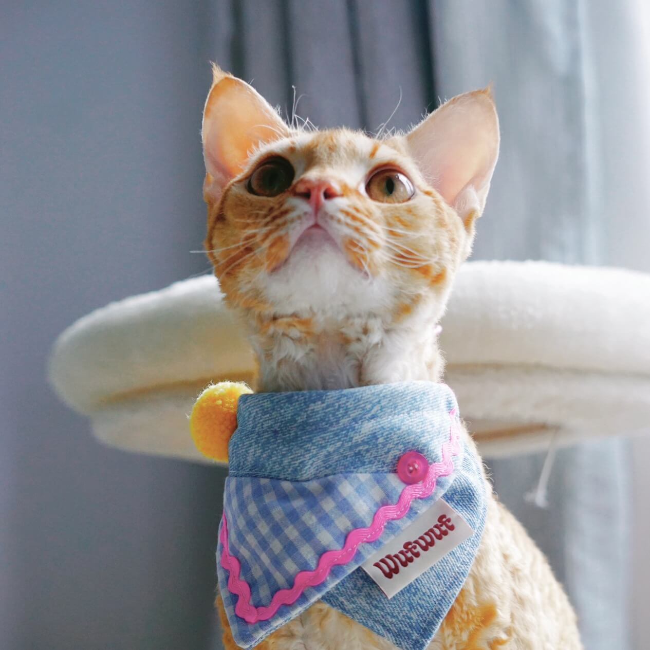 Denim Patchwork Pink Cat Bandana Collar