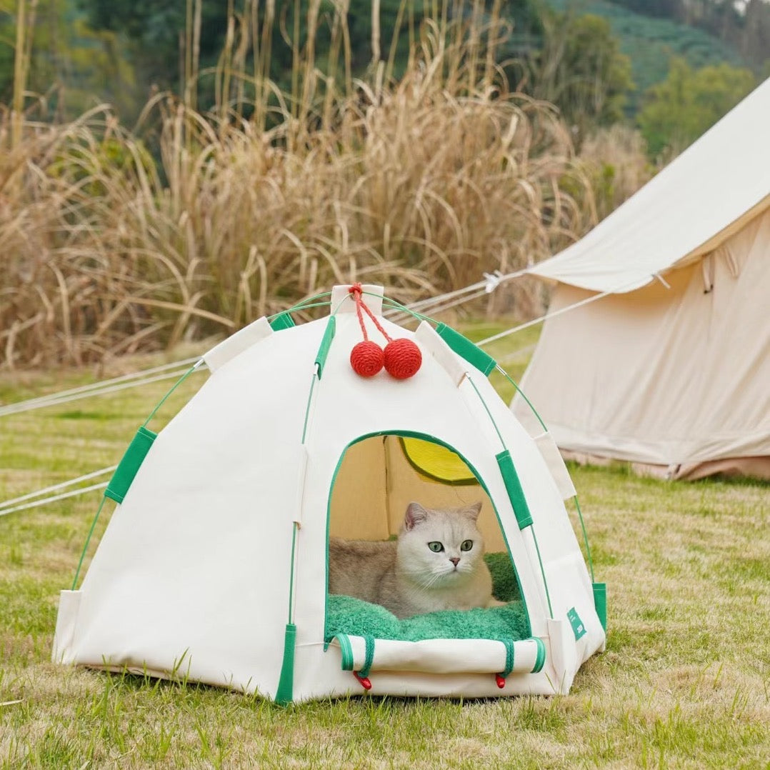 Delightful Dome Cat Tent Bed mini tent for cats