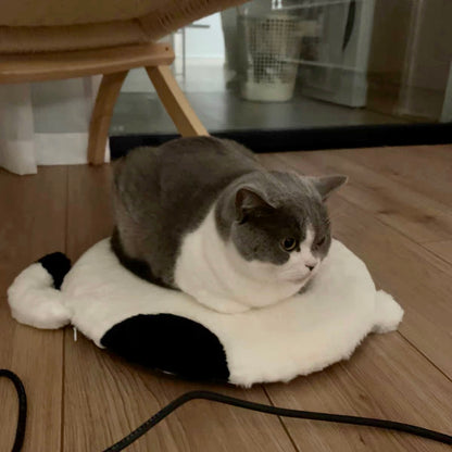 Minimalist Cat Chair Cushion - Petites Paws
