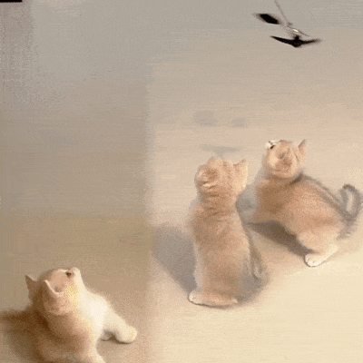 Lifelike Flying Bird Cat Wand Toy Feather