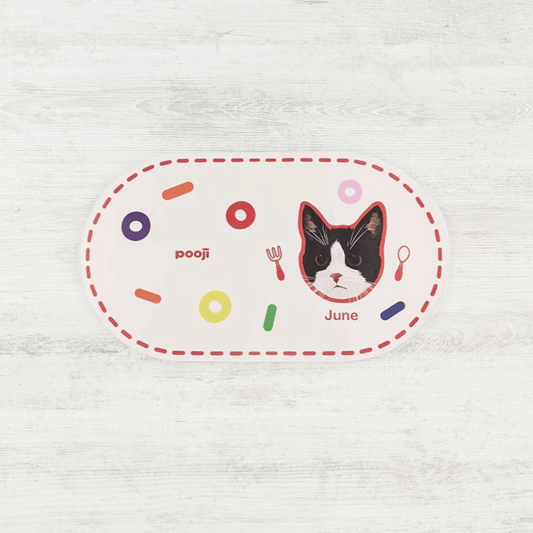 Custom Pet Portrait Cat Food Mat