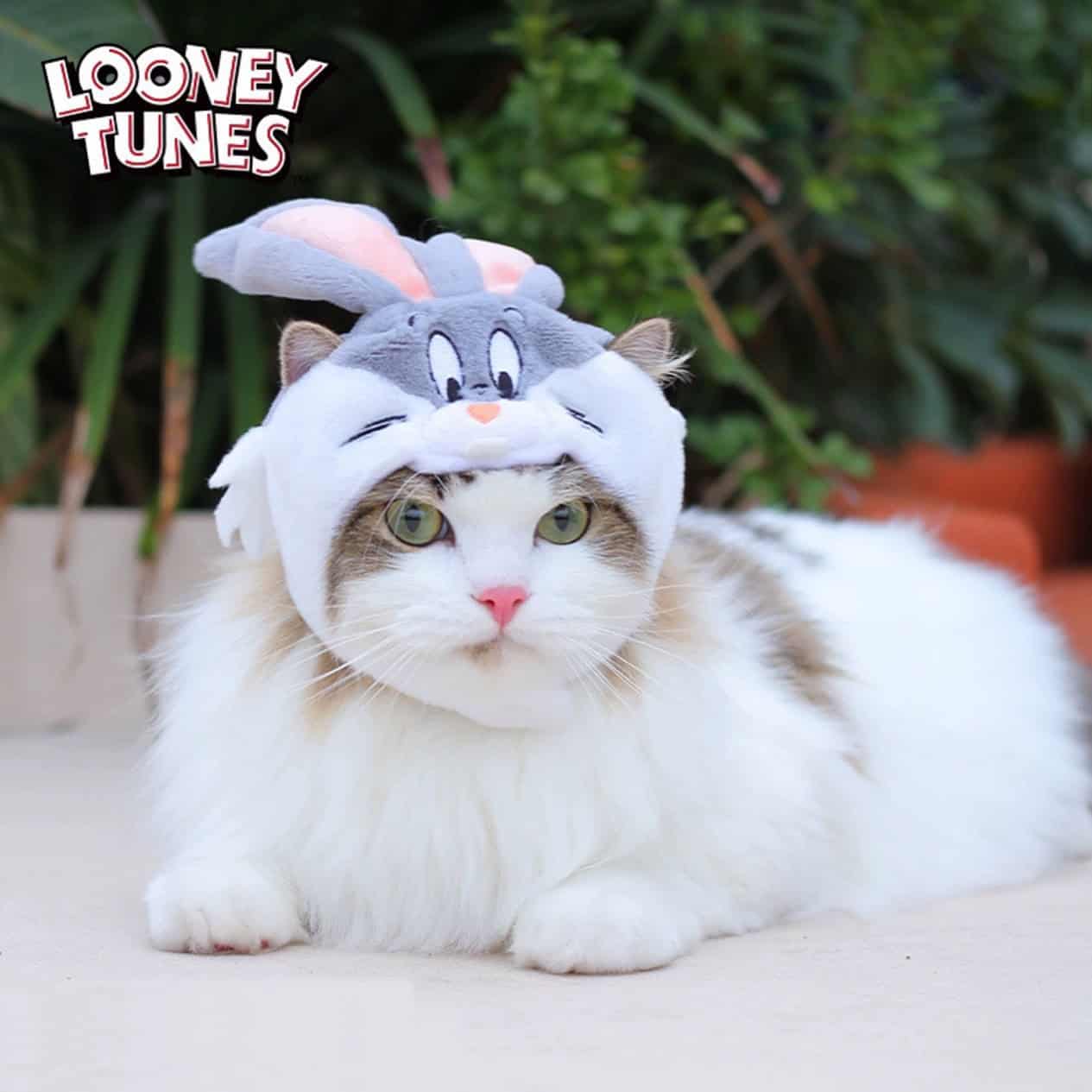 Looney Tunes Bugs Bunny / Tweety Cat Costume