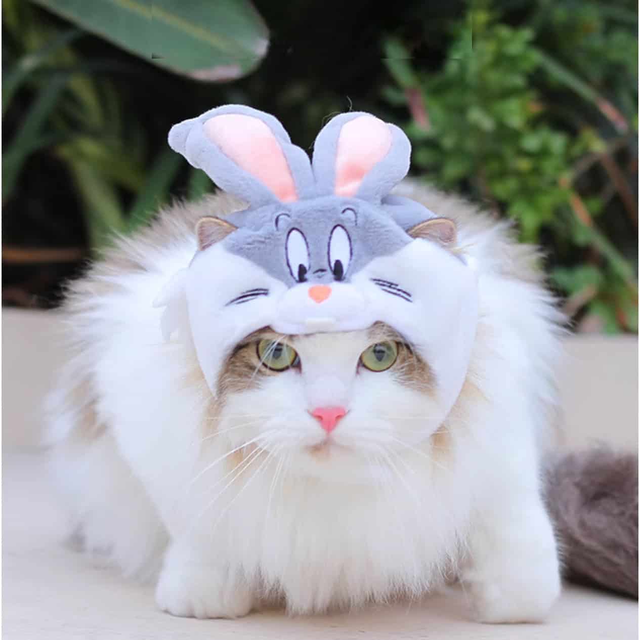 Looney Tunes Bugs Bunny / Tweety Cat Costume