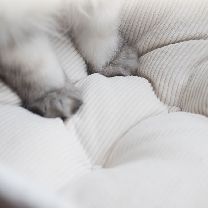 Minimalist Kraft Paper Bag Wool Cat Bed