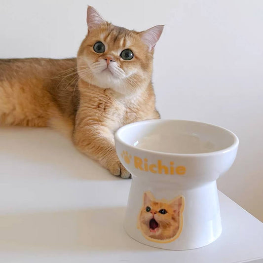 Custom Pet Portrait Elevated Ceramic Cat Dog Food Bowl with Digital File
