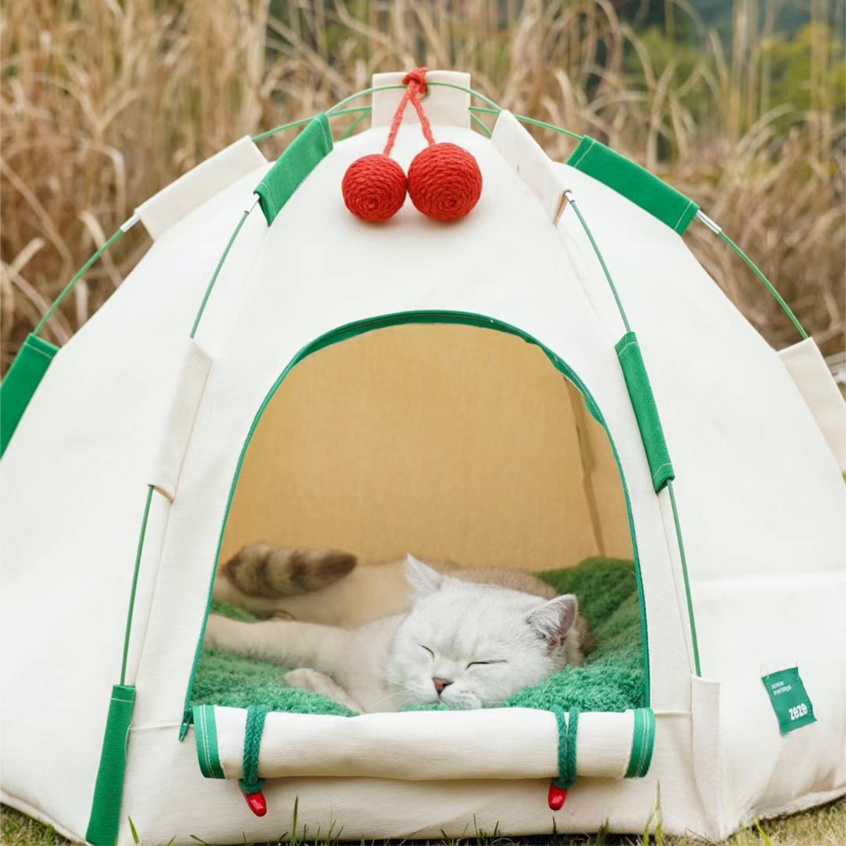 Beautiful view of Tropical Oasis Heated Cat Tent Bed