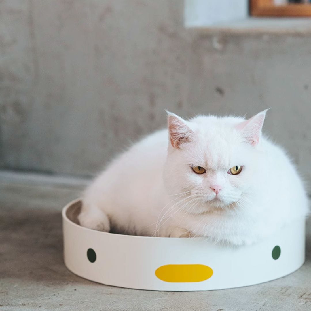 Purroom Chick Nest Cat Scratcher