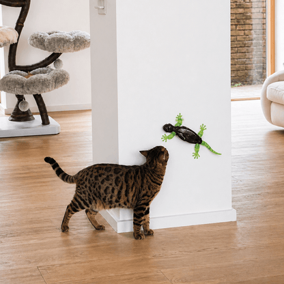 Remote Control Wall Climbing Lizard Cat Toy - Petites Paws