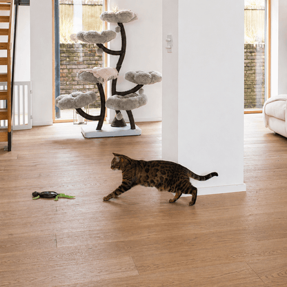 Remote Control Wall Climbing Lizard Cat Toy - Petites Paws