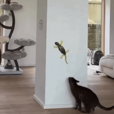 Remote Control Wall Climbing Lizard Cat Toy - Petites Paws