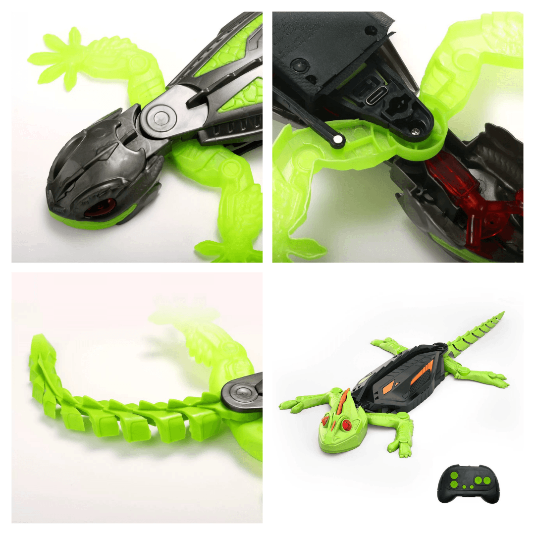 Remote Control Wall Climbing Lizard Cat Toy - Petites Paws