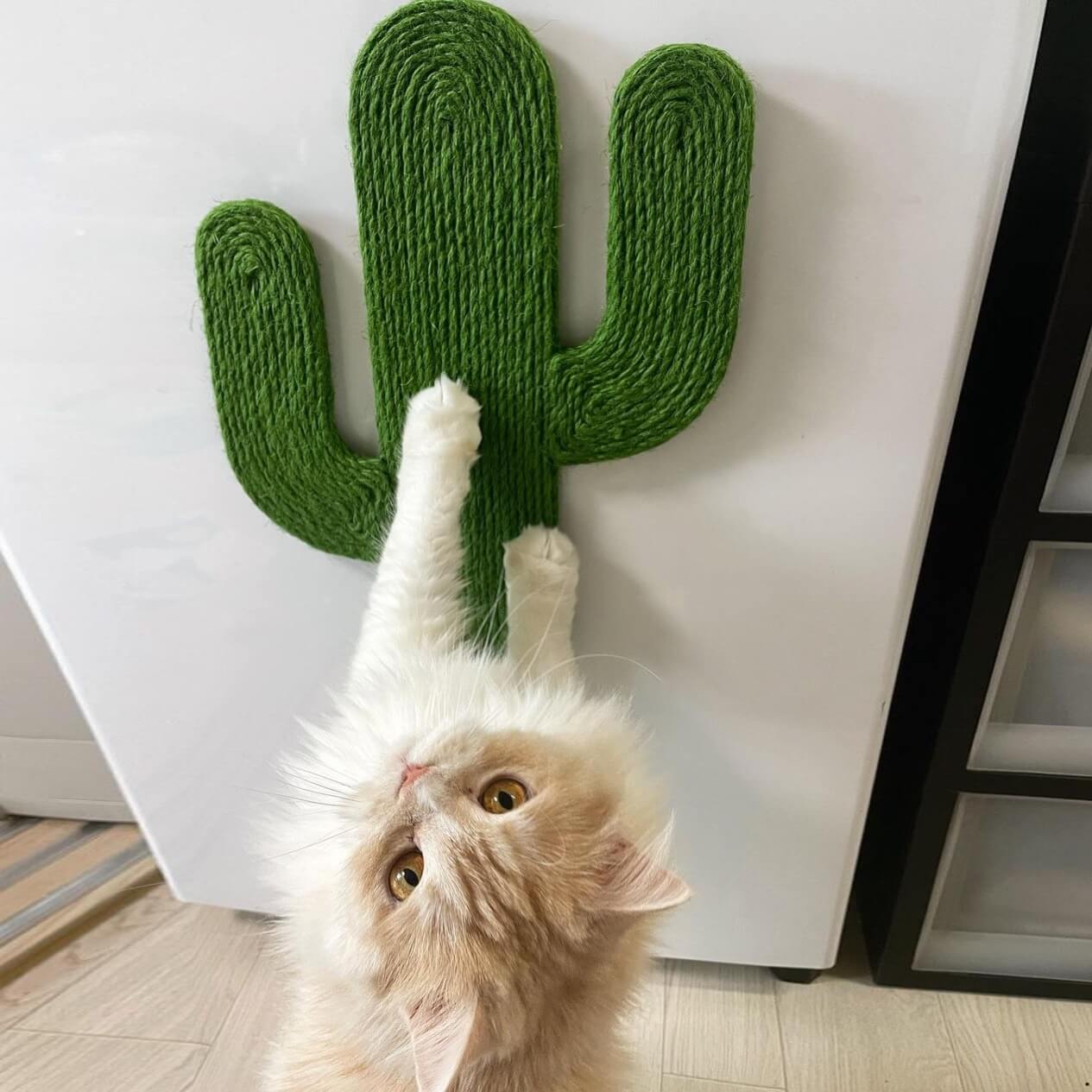 Cactus Wall Cat Scratcher with Suction Cups - Petites Paws
