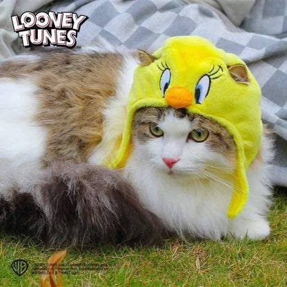 Looney Tunes Bugs Bunny / Tweety Cat Costume