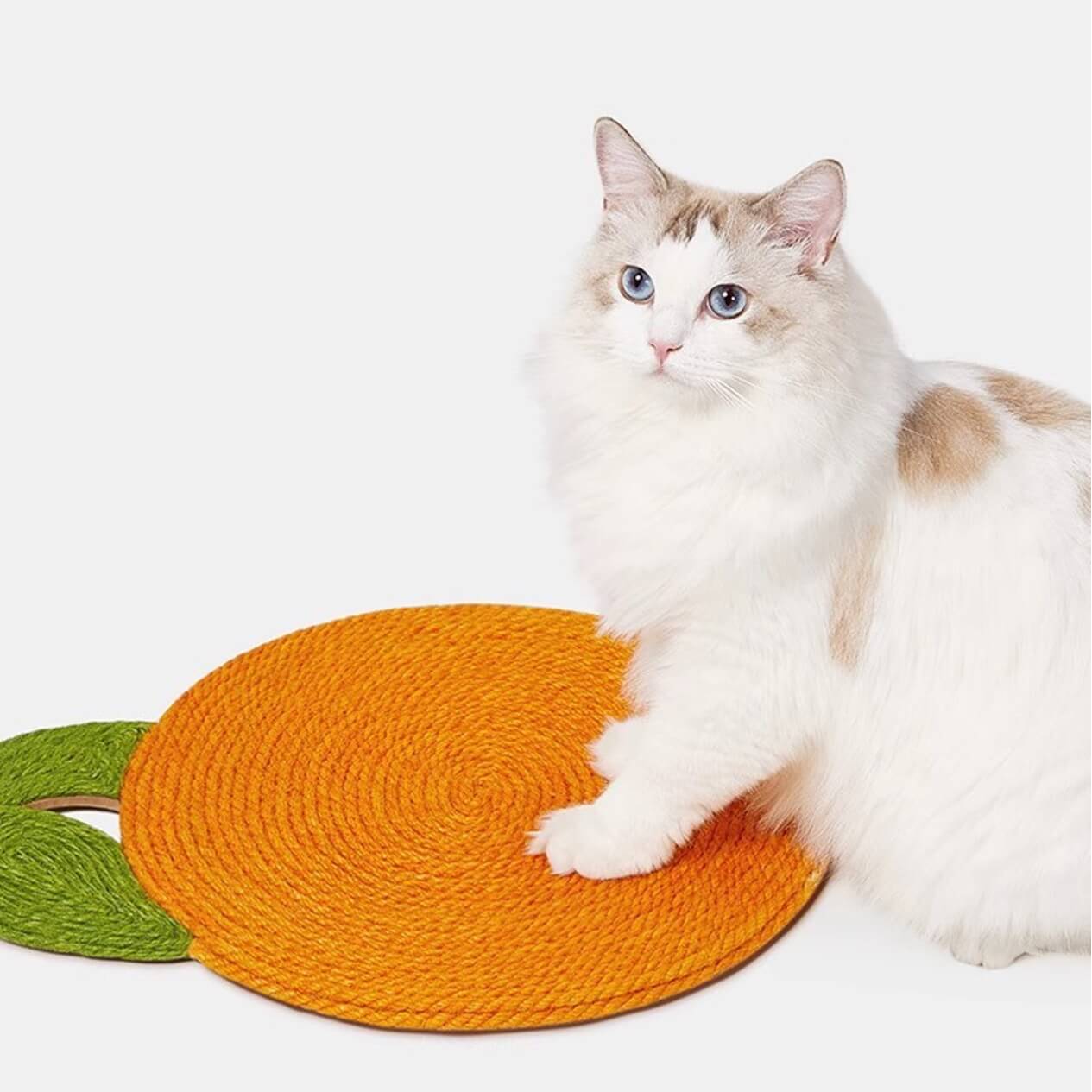 Fruity Fun Orange Wall Cat Scratcher with Suction Cups
