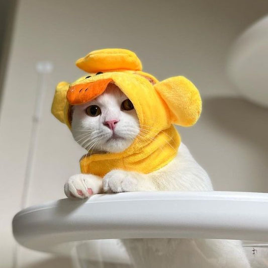Duck Cat Costume - Petites Paws