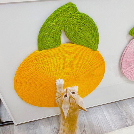 Fruity Fun Wall Cat Scratcher with Suction Cups Orange Pink