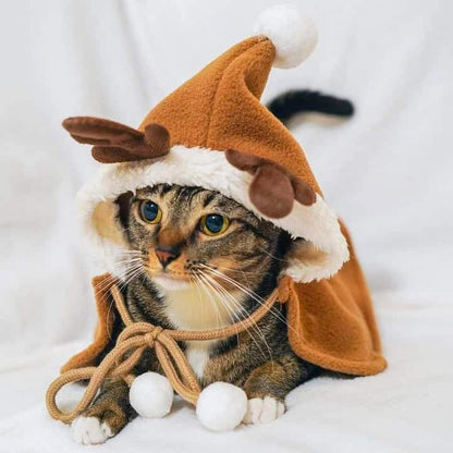 Cat Reindeer Costume with Christmas Cloak – Petites Paws