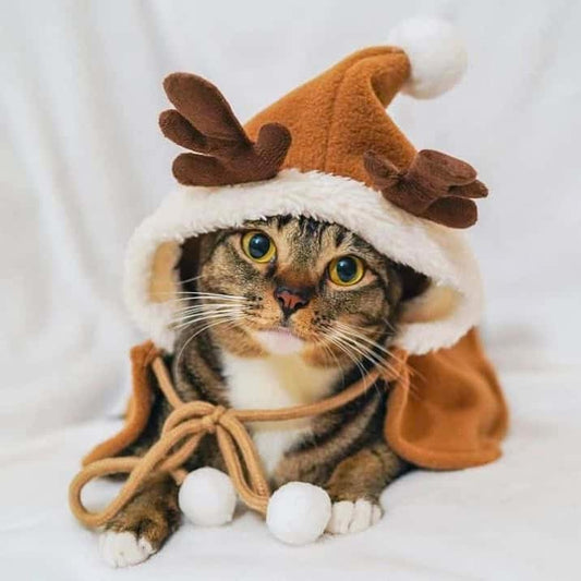 Cat Reindeer Costume with Christmas Cloak