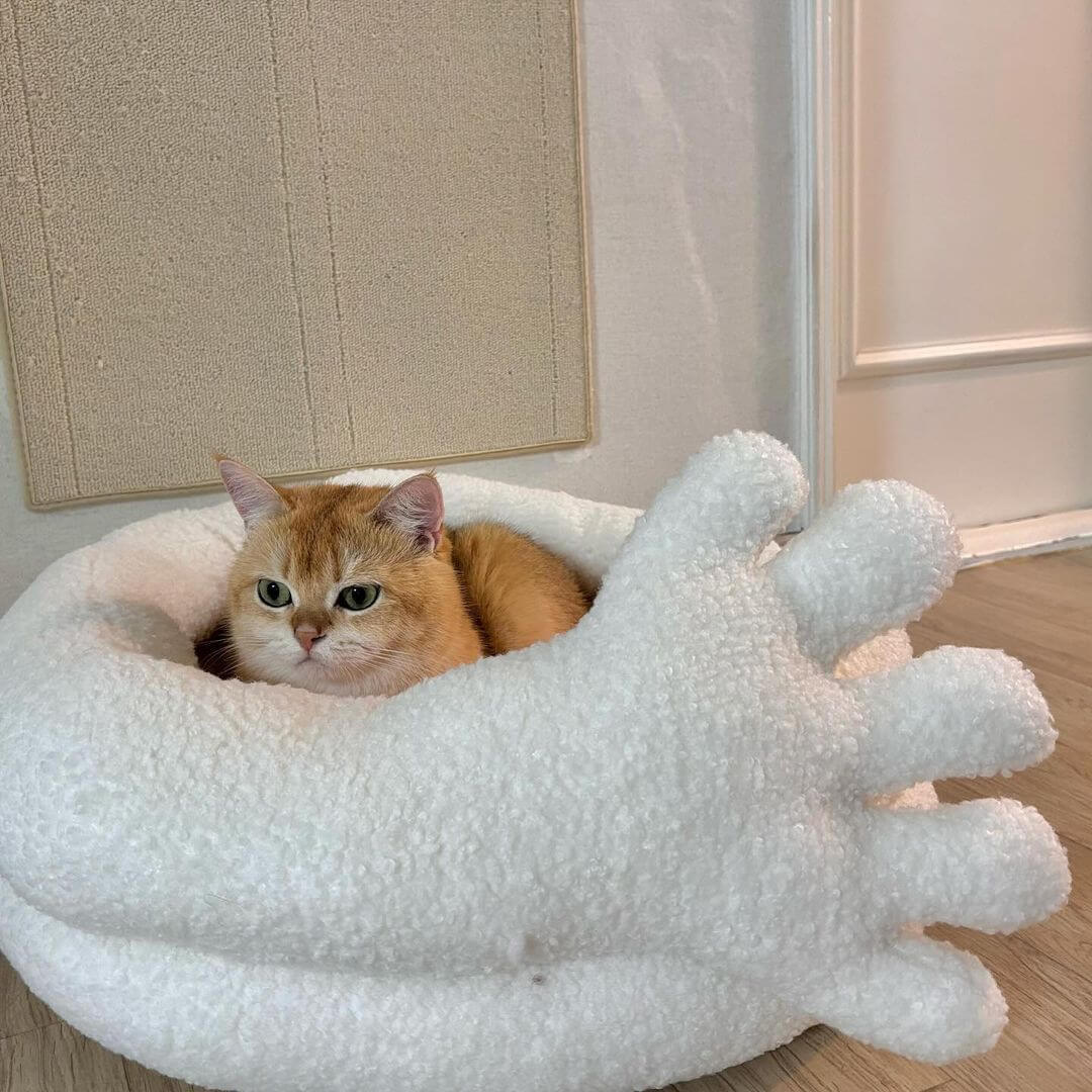 Hand-Hug Cuddle Cat Bed - Petites Paws