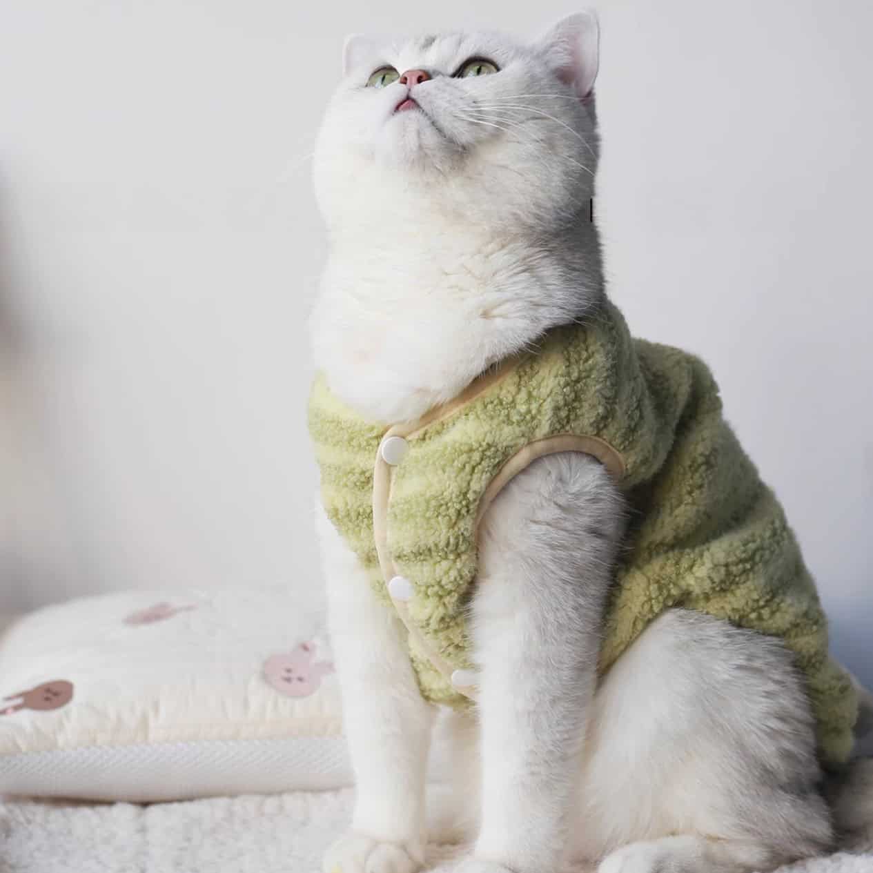 Cat Fleece Winter Sweater Vest Warm Clothes Green