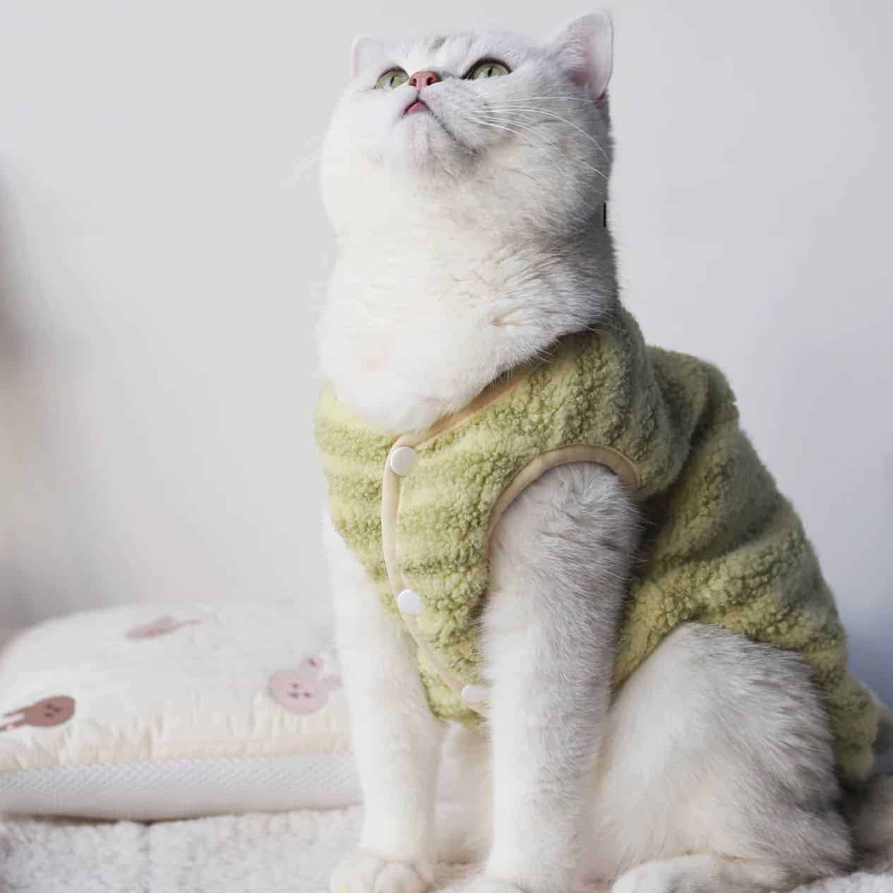 Cloud Soft Cat Fleece Winter Sweater Vest  green