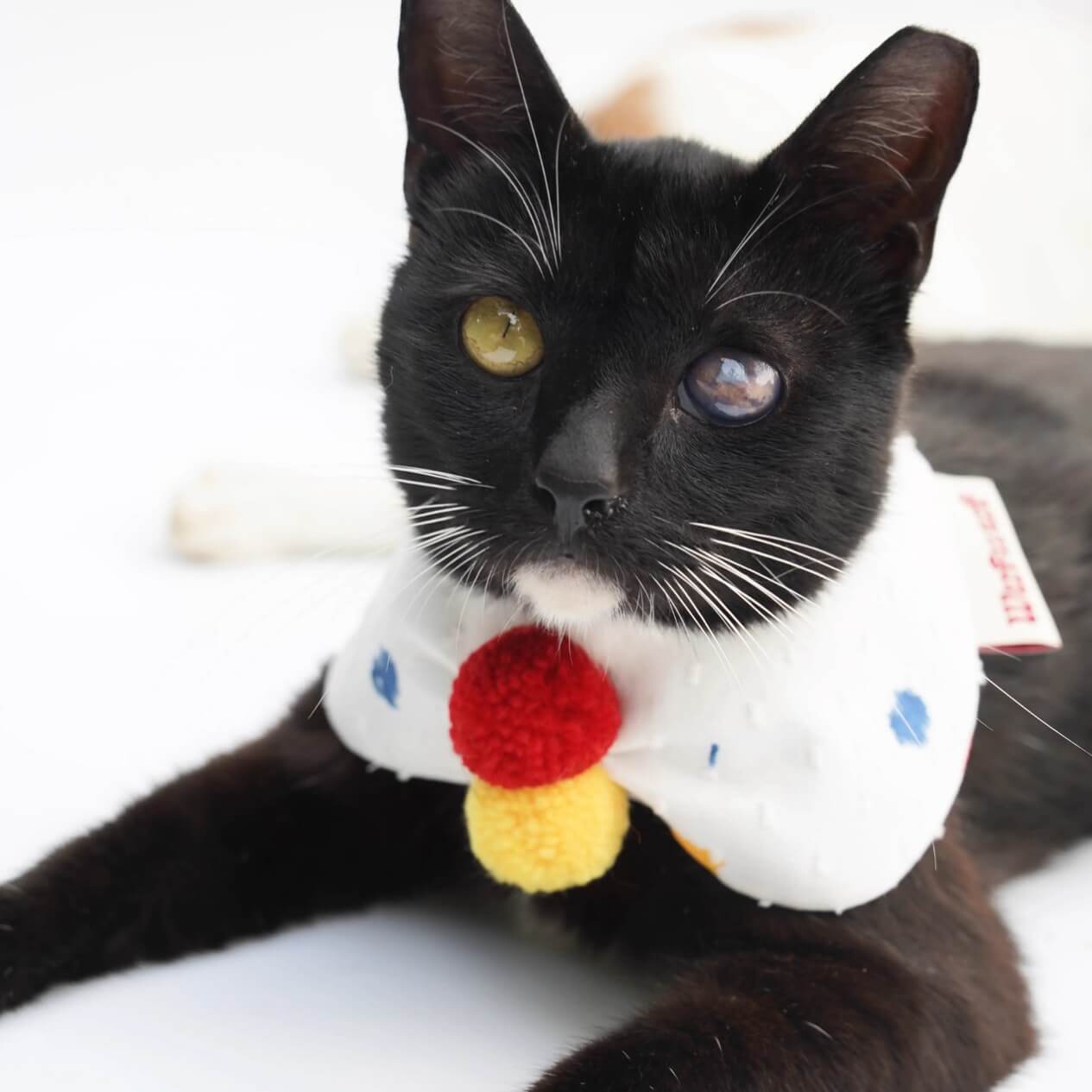 Sweet Colorful Pom-Poms Cat Bandana Pet Red Yellow