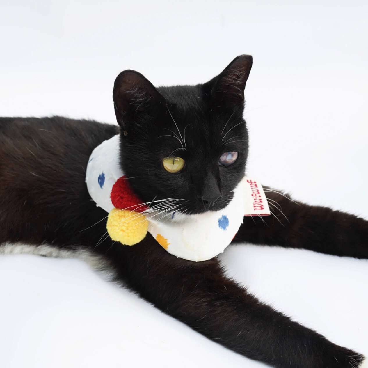 Sweet Colorful Pom-Poms Cat Bandana Pet Red Yellow