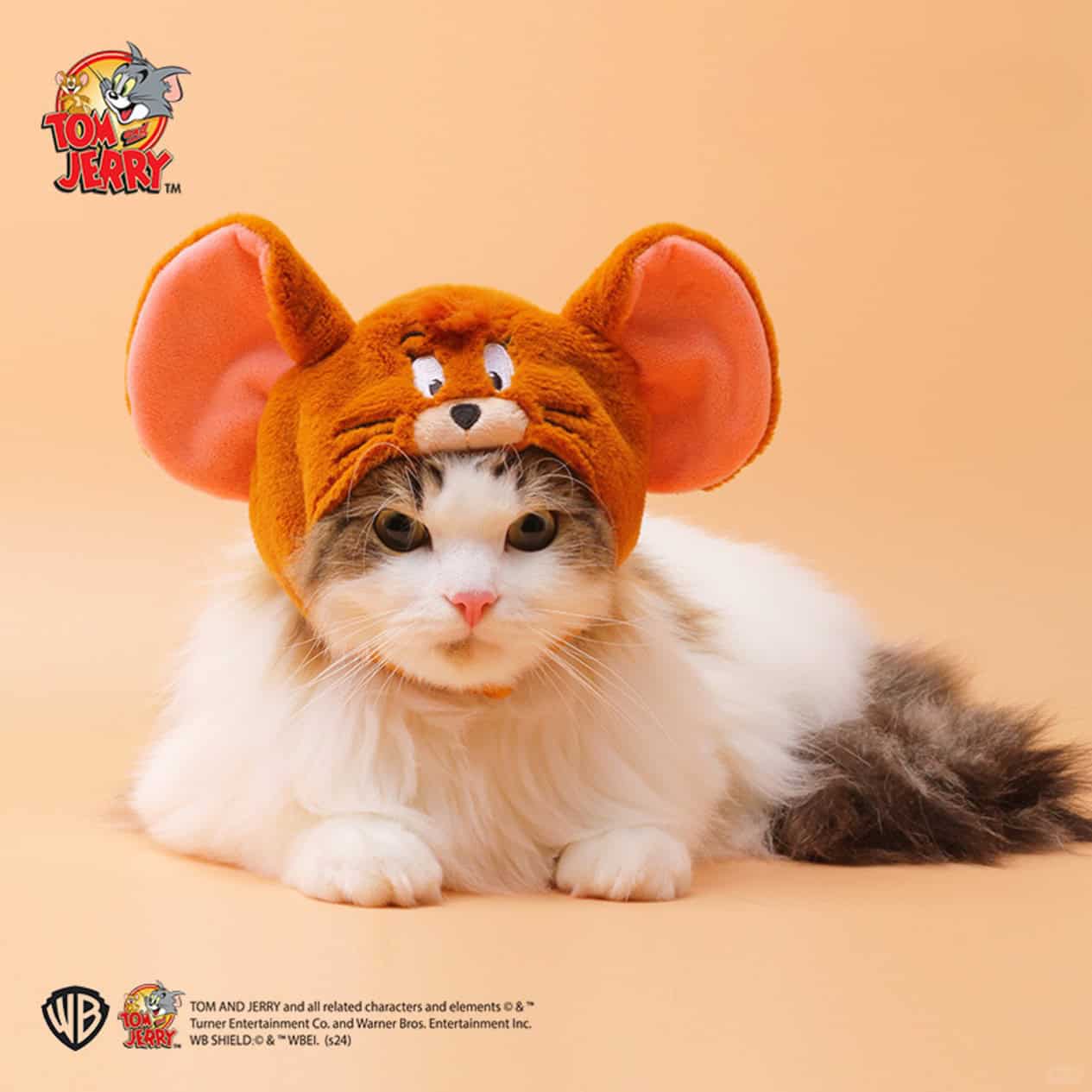 Tom and Jerry Dog & Cat Costume