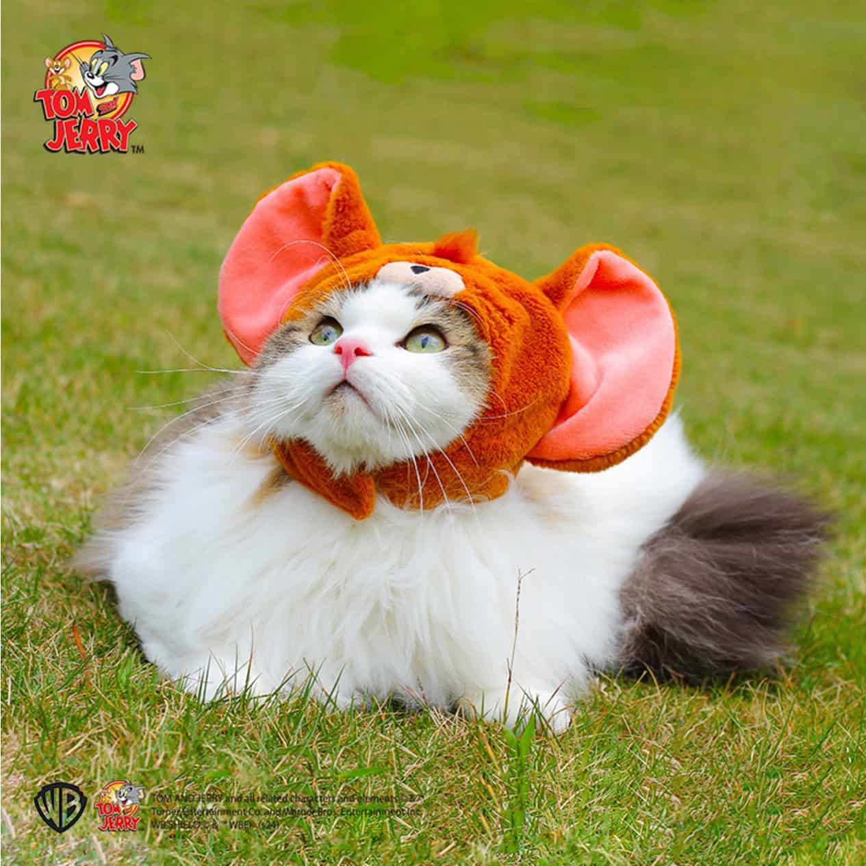 Tom and Jerry Dog & Cat Costume