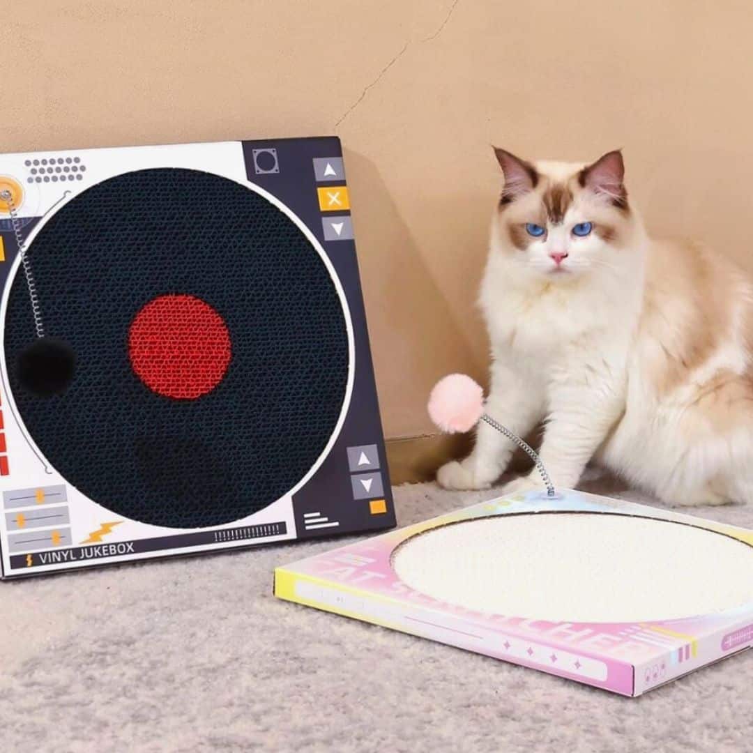 Vintage Vinyl Record Player Cat Scratcher