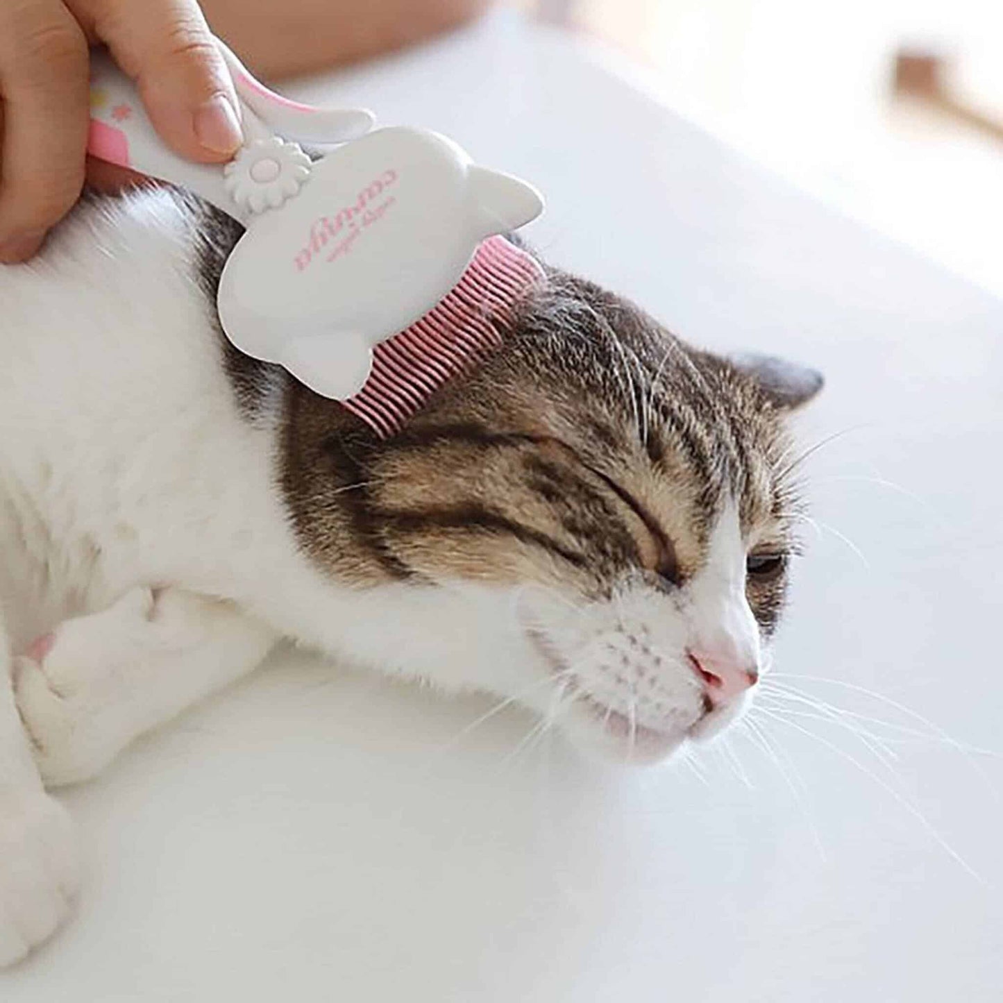 Cattyman Japanese Cat Care Grooming and Massage Set