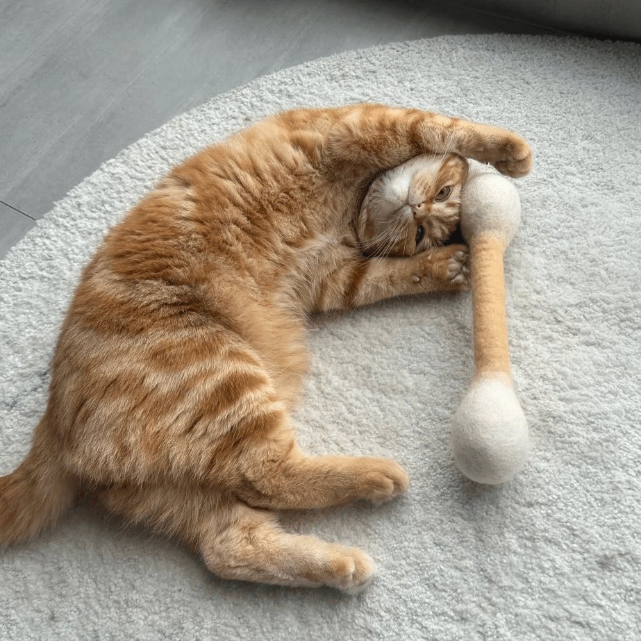 Cat playing with a cat kicker toy designed for wrestling and bunny kicking