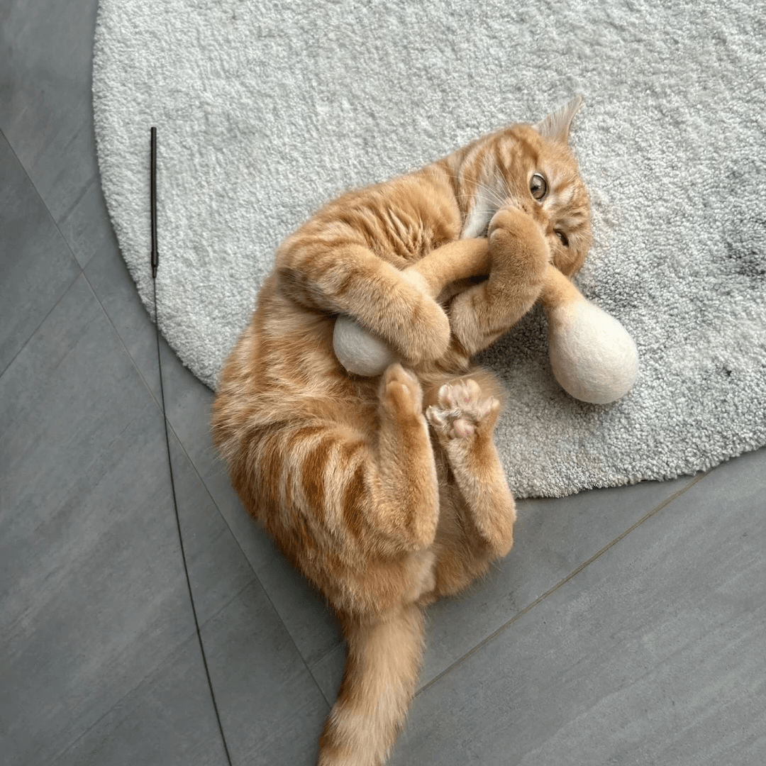 Kitten enjoying a bunny kick cat toy with soft wool felt texture
