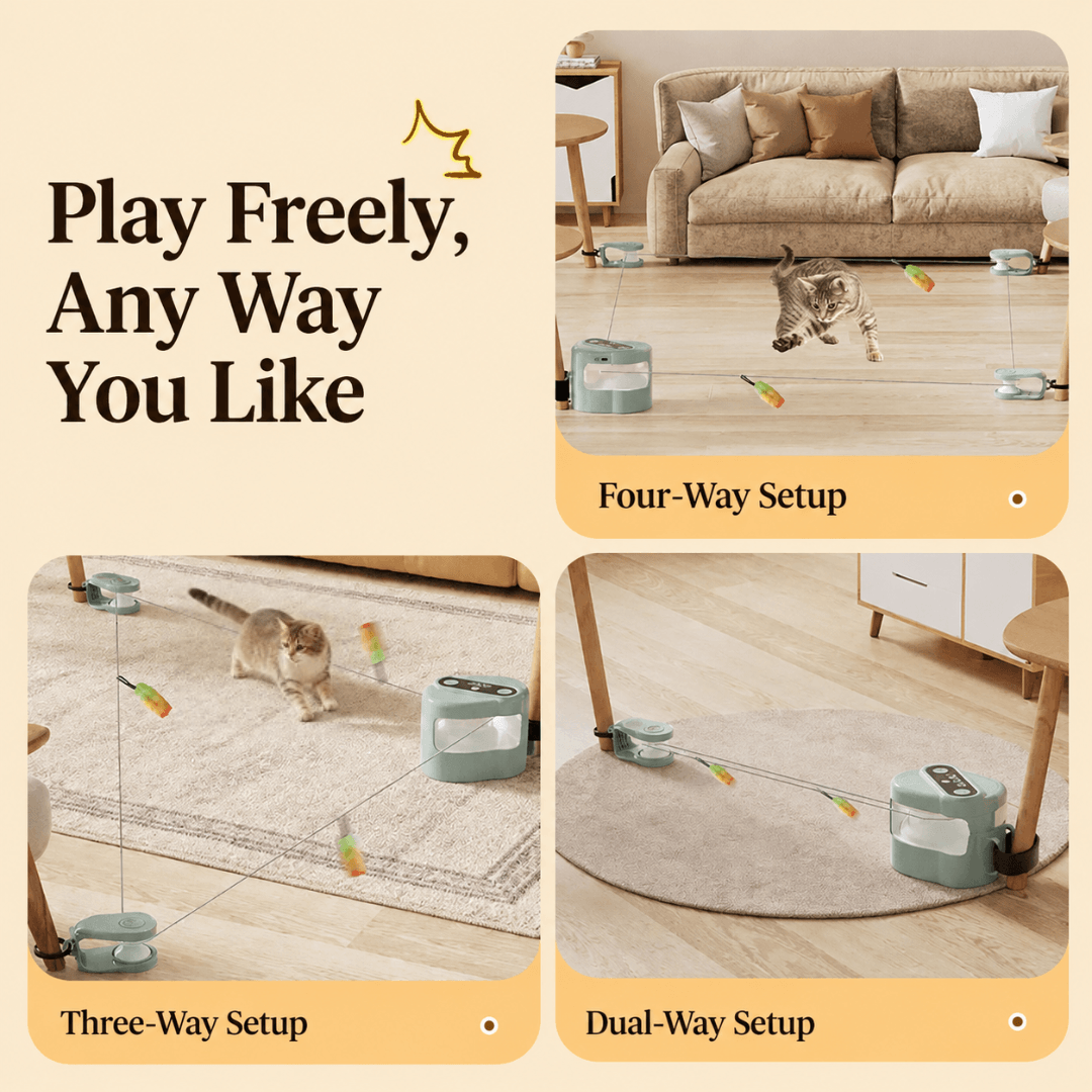 Chase Course Interactive Cat Toy shown in dual-way, three-way and four-way setup configurations for different room layouts.