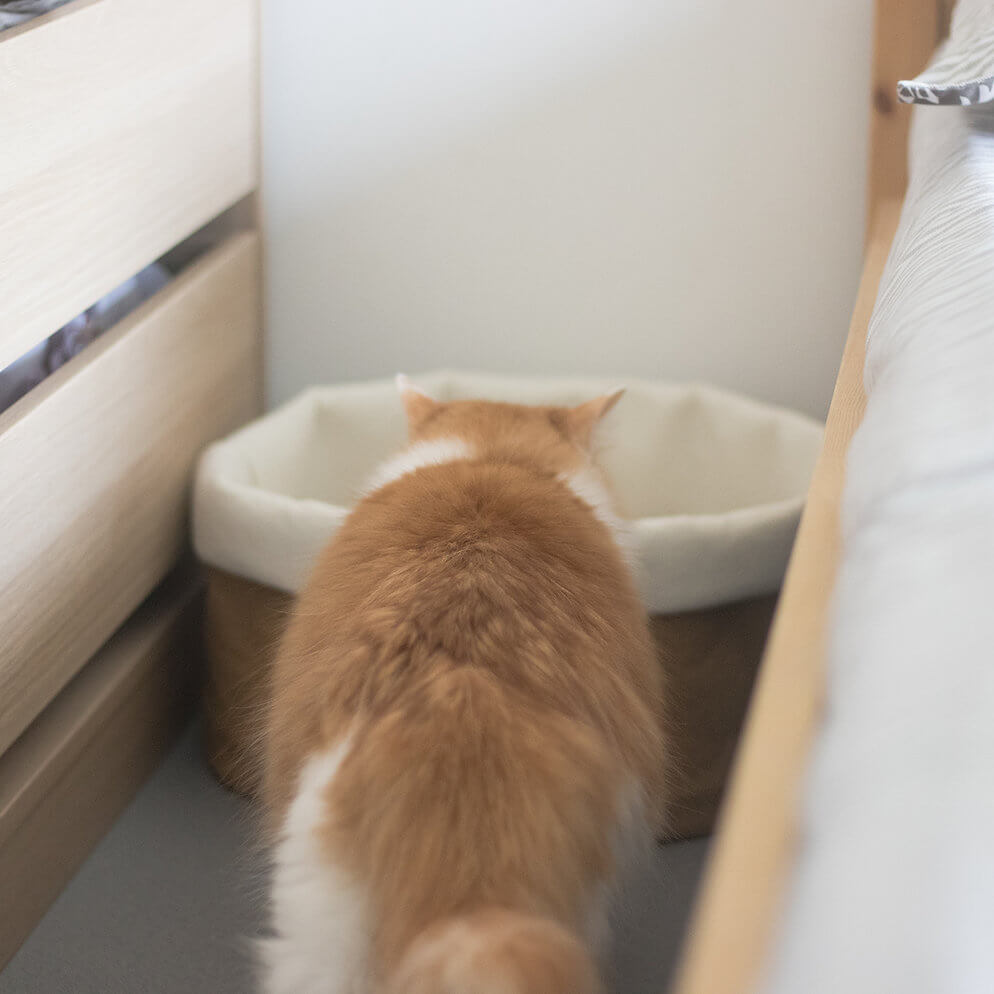 Minimalist Kraft Paper Bag Wool Cat Bed