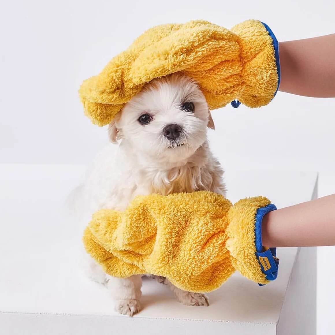 Pethroom Microfiber Pet Drying Gloves - Petites Paws