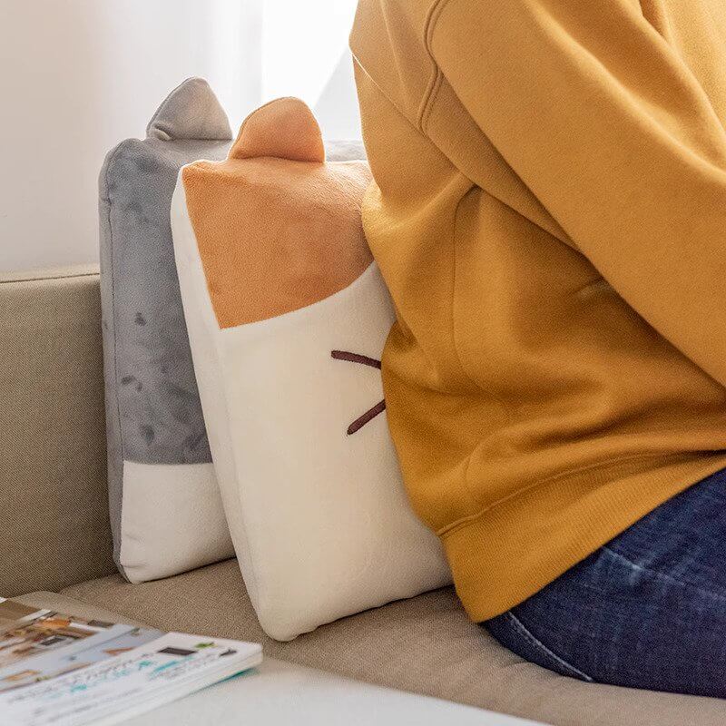 Back Support Pillow 