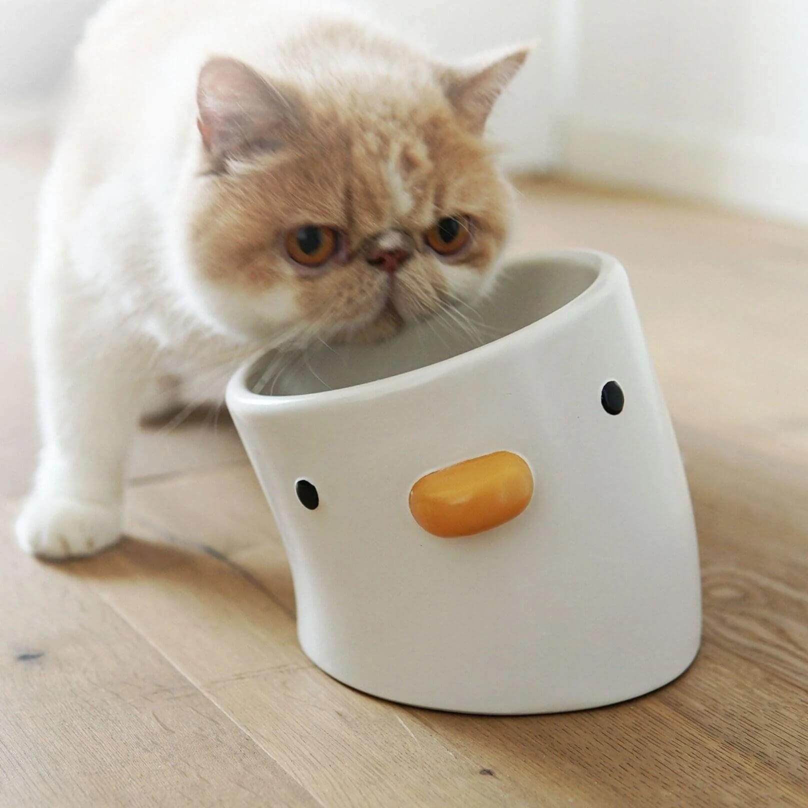 Chirpy Chick Tilted Ceramic Cat Feeding Bowl - Petites Paws