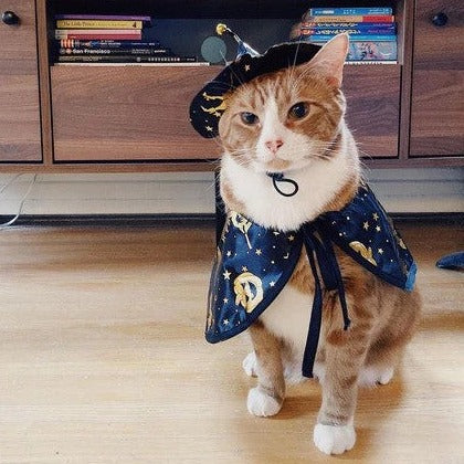 Glitter Witch Cat Costume - Petites Paws