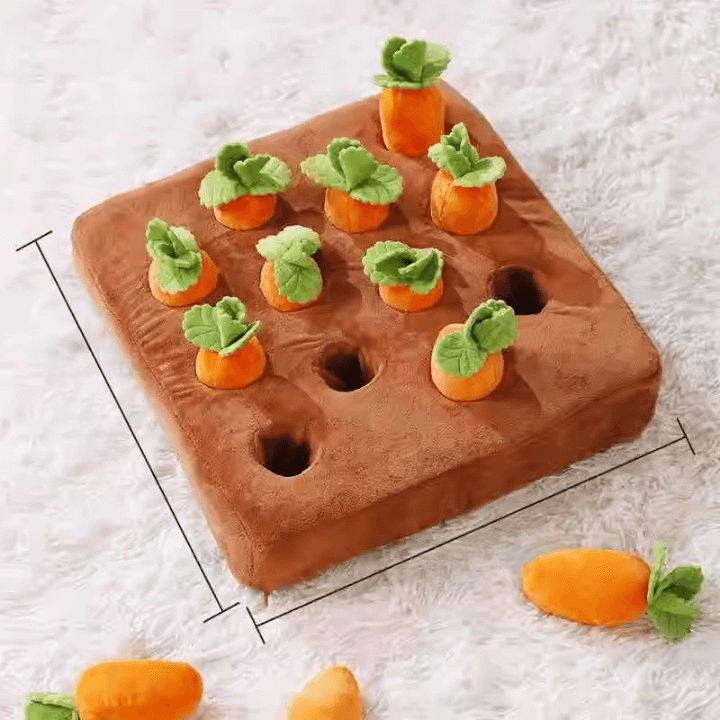 Catnip Carrot Cat Toy Cat Food Puzzle Mat