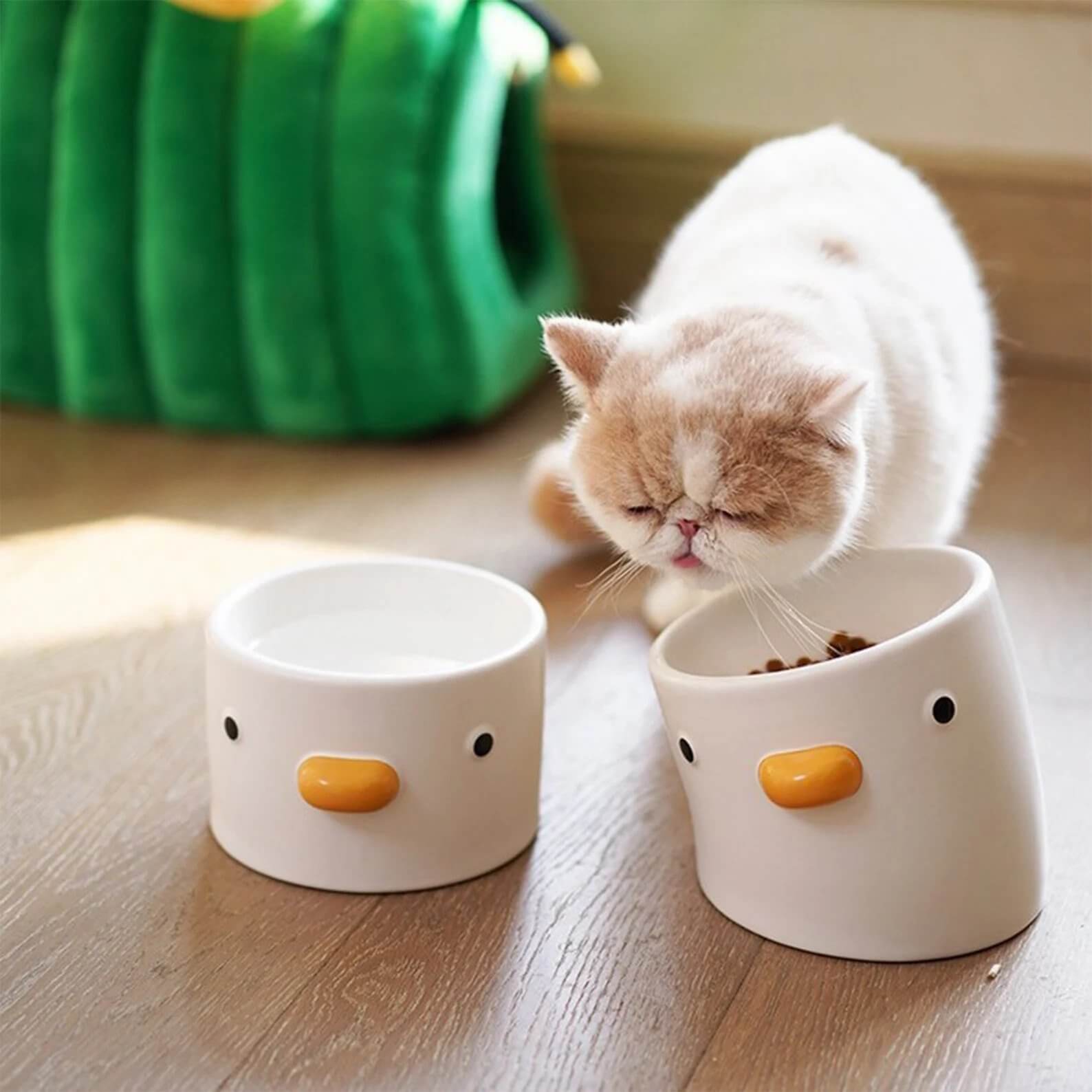 Ceramic cat feeder hotsell