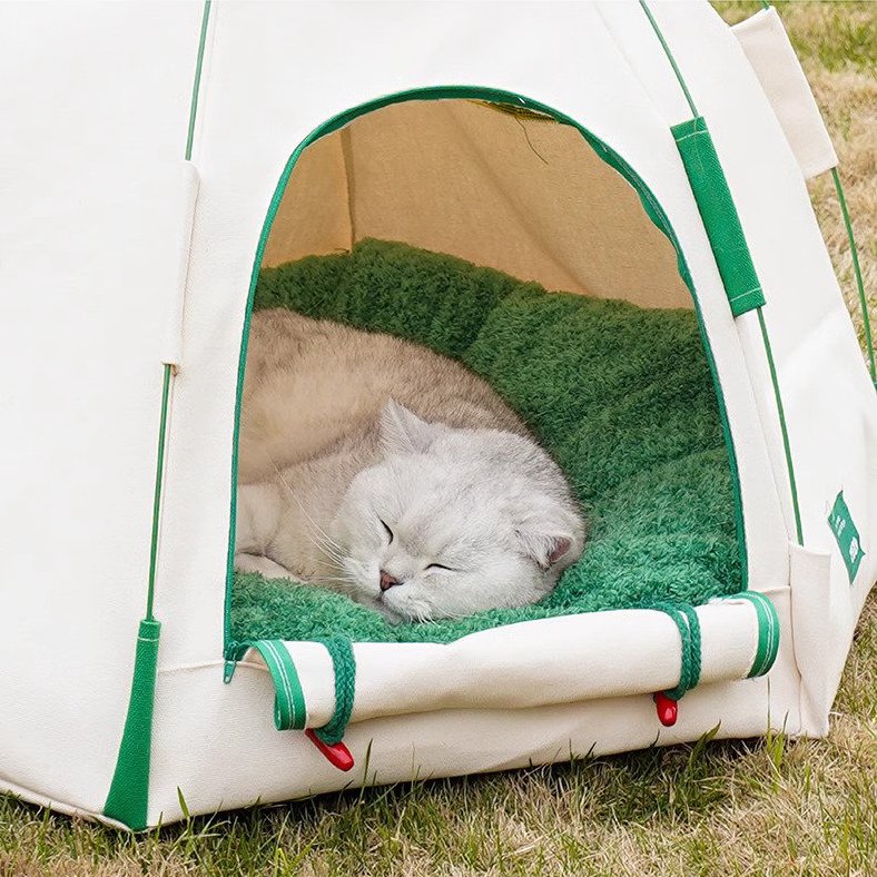 Mini tent for outlet cats