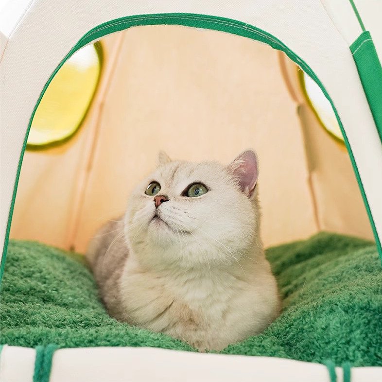 Delightful Dome Chic Cat Tent Bed