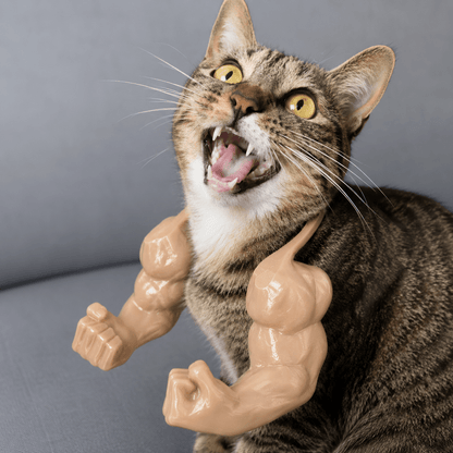 Tabby cat wearing beige muscle arms with its mouth open, creating a dramatic bodybuilder cat costume look.