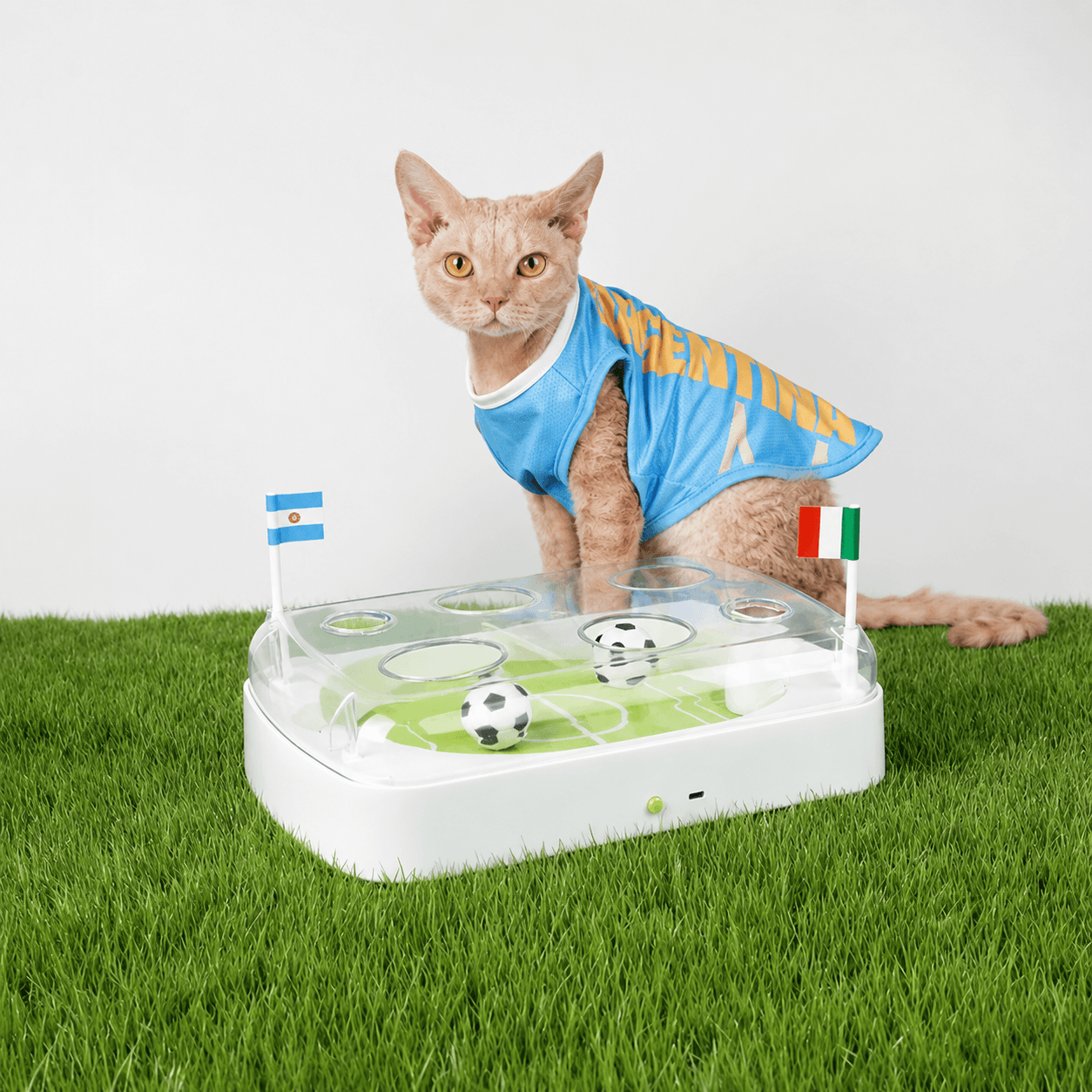 Indoor cat sitting beside the Goal Chaser Interactive Soccer Cat Toy soccer arena