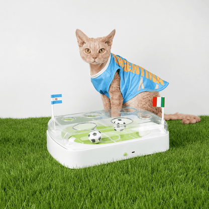 Indoor cat sitting beside the Goal Chaser Interactive Soccer Cat Toy soccer arena