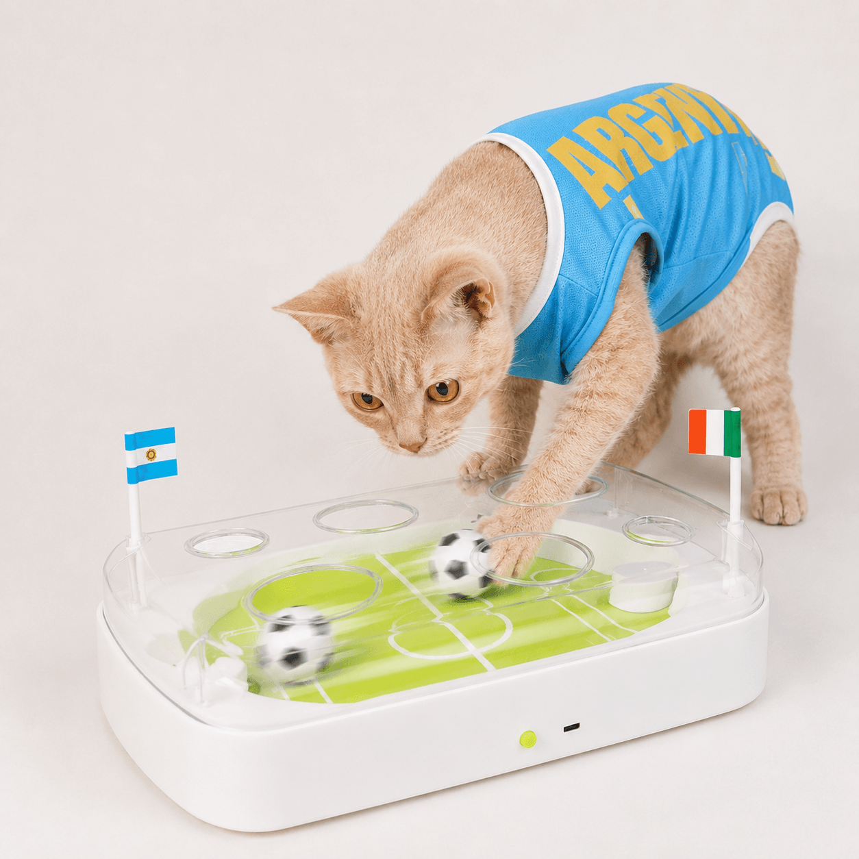 Cat chasing fast-moving soccer balls in a motion-activated interactive cat toy arena